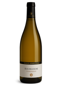 2022 Domaine Alain Chavy Bourgogne Blanc HALF
