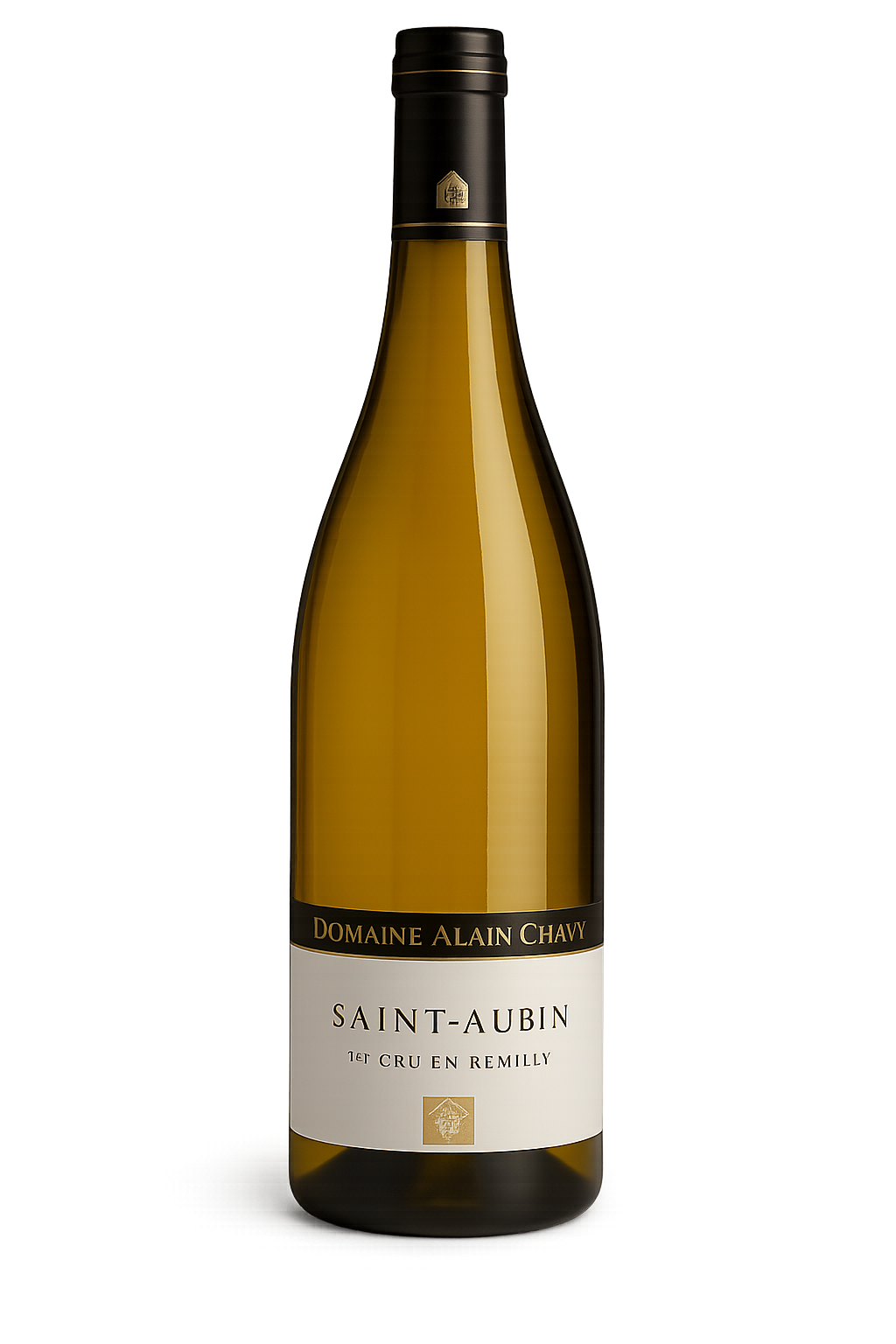 2022 Domaine Alain Chavy Saint Aubin 1er Cru En Remilly