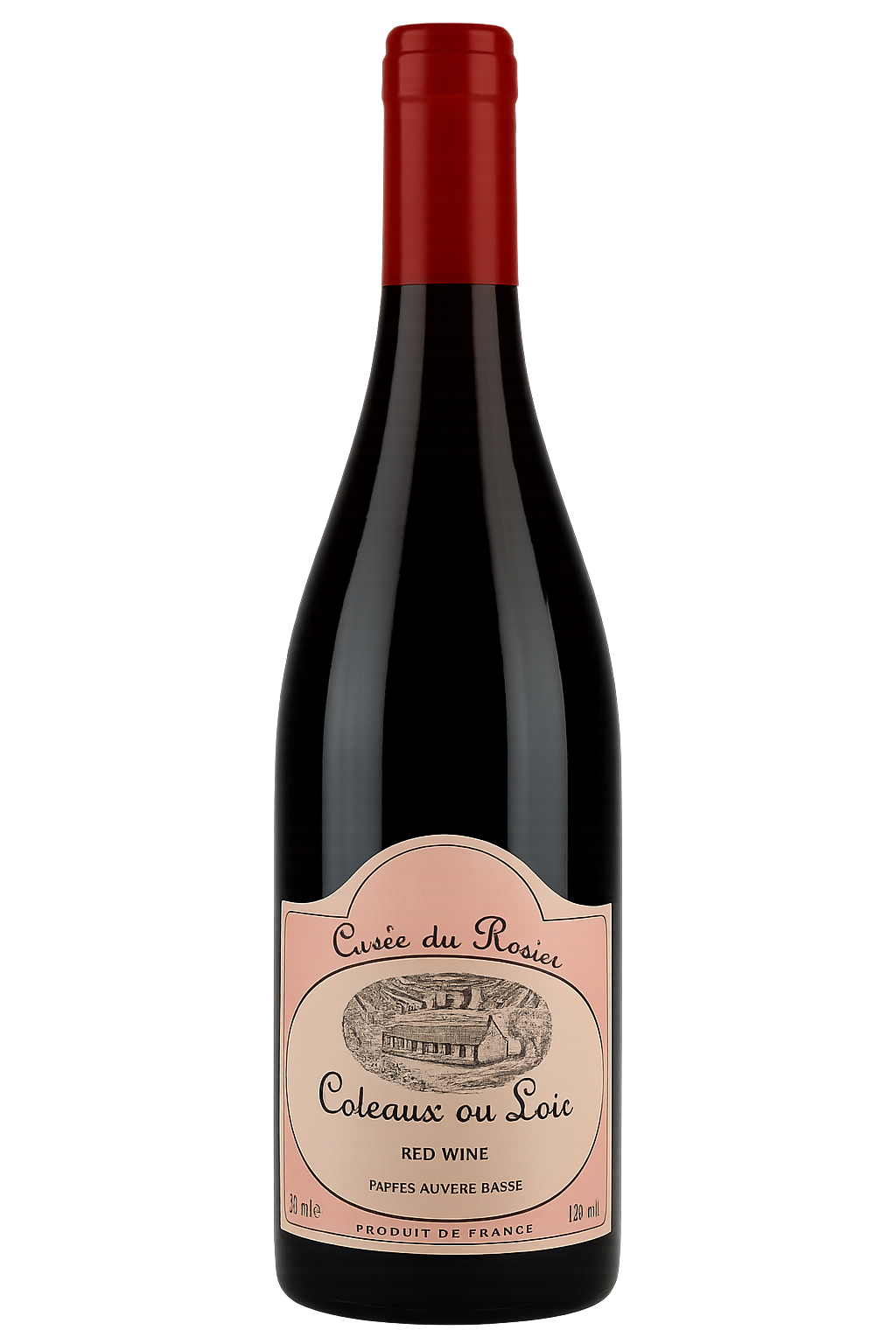 Pascal Janvier 2023 Coteux du loire Rouge 'Cuvee henri Quatre'