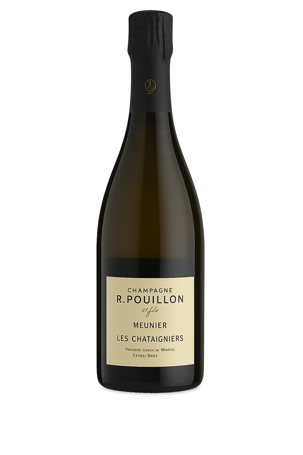 Champagne R Pouillon Les Chataigniers 2017 1x750ml