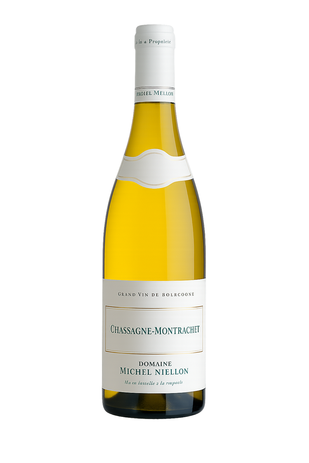 2023 Domaine Michel Niellon Chassagne Montrachet