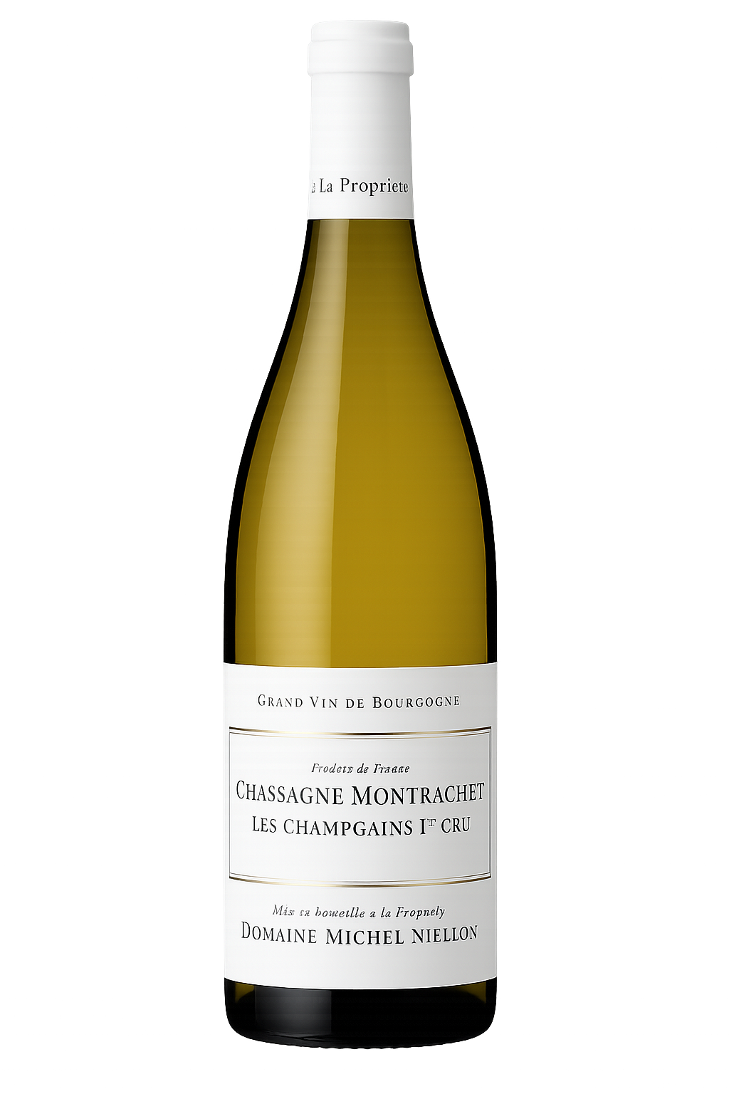 2023 Domaine Michel Niellon Chassagne Montrachet 1er Cru 'Champsgains'